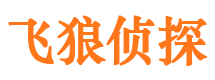 梅里斯寻人公司